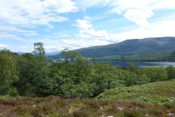 View from the top of the reserve