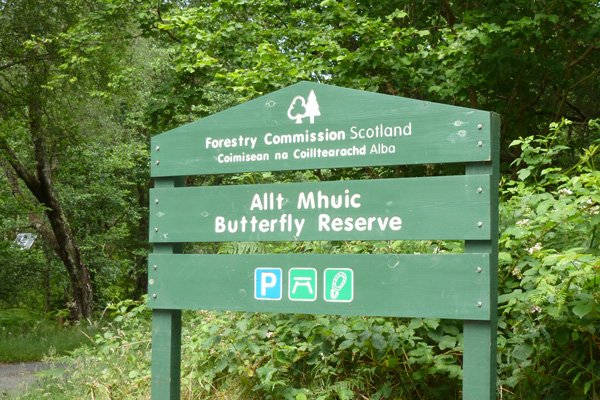 Allt Mhuic butterfly reserve