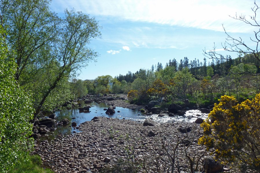 Enjoy the circular walk through Ariundle woodlands and along The River Strontian