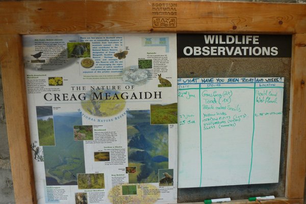 Sightings board for Creag Meagaidh National Nature Reserve