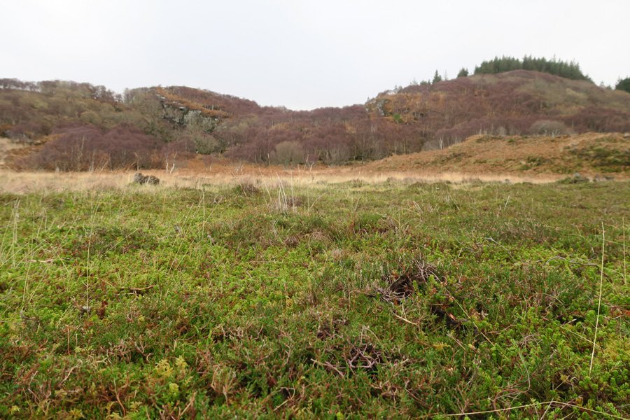 Cul na Croise, Ardnamurchan