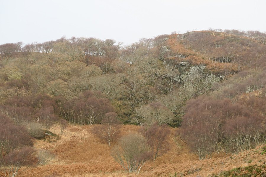 Cul na Croise, Ardnamurchan