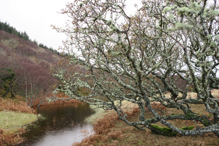 Cul na Croise, Ardnamurchan