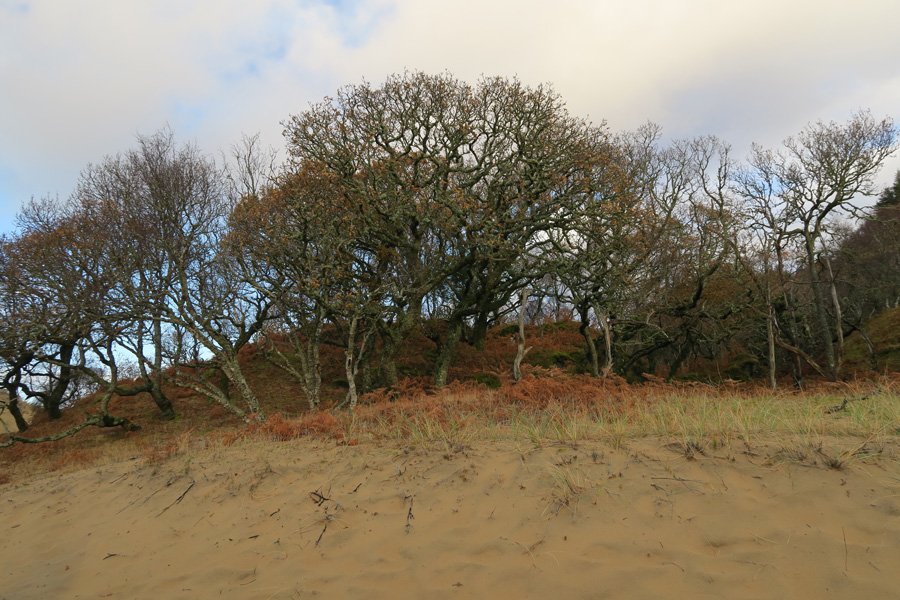 Cul na Croise, Ardnamurchan