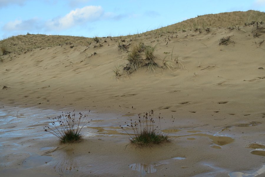 Cul na Croise, Ardnamurchan