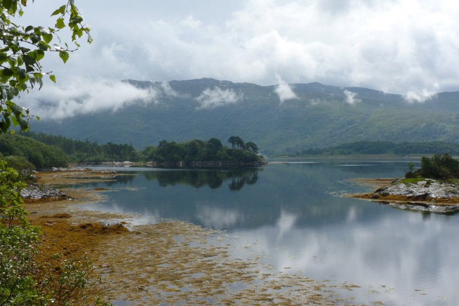 A view from the Garbh Eilean Wildlife Hide