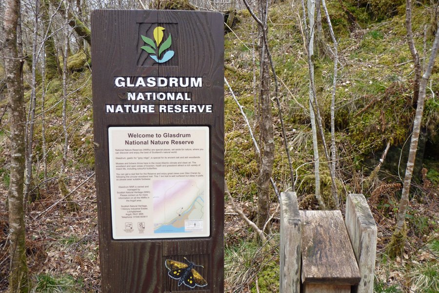 Information board and leaflet box, Glasdrum National Nature Reserve