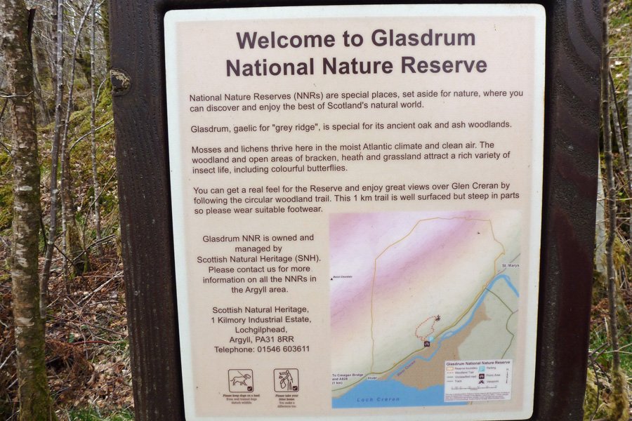 The interpretation board at Glasdrum National Nature Reserve
