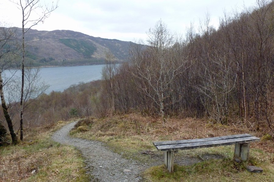 Lovely views are afforded of Loch Creran on the circular woodland trail through Glasdrum National Nature Reserve