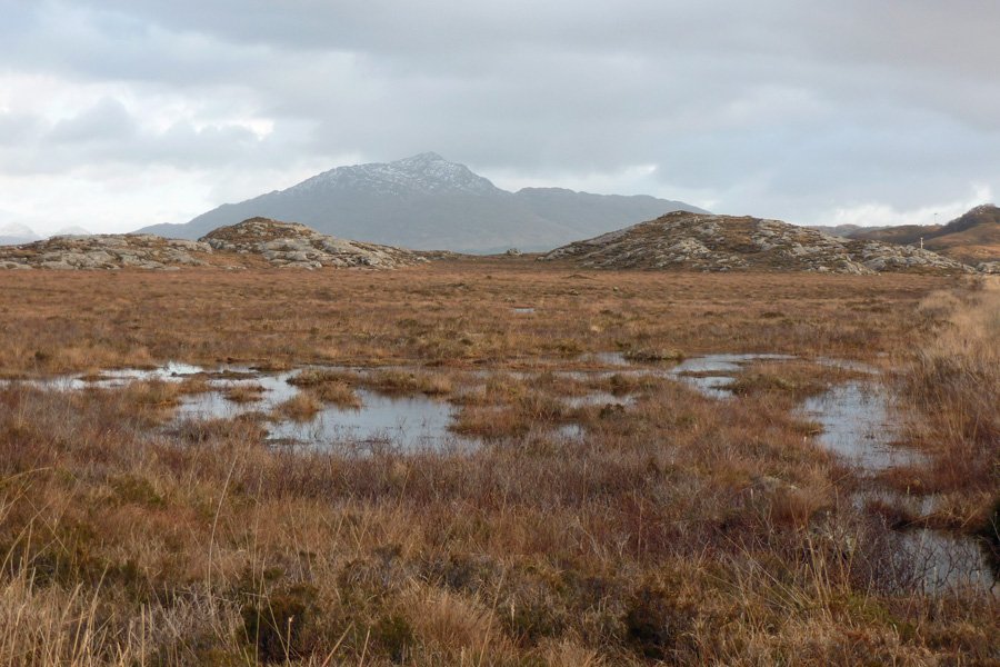 Kentra Moss on a winters day