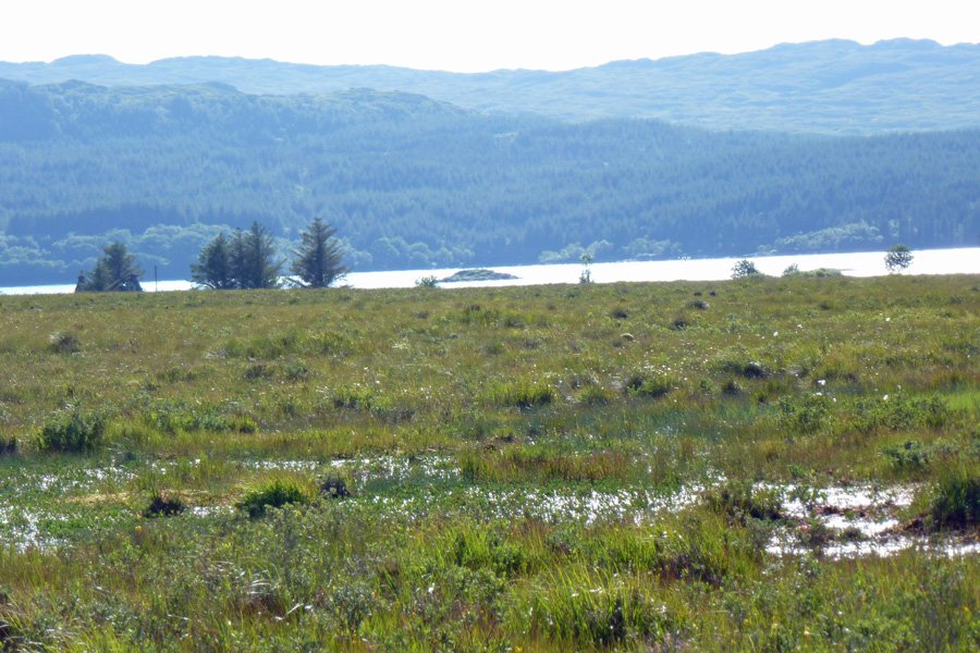 Looking towards Kentra Bay