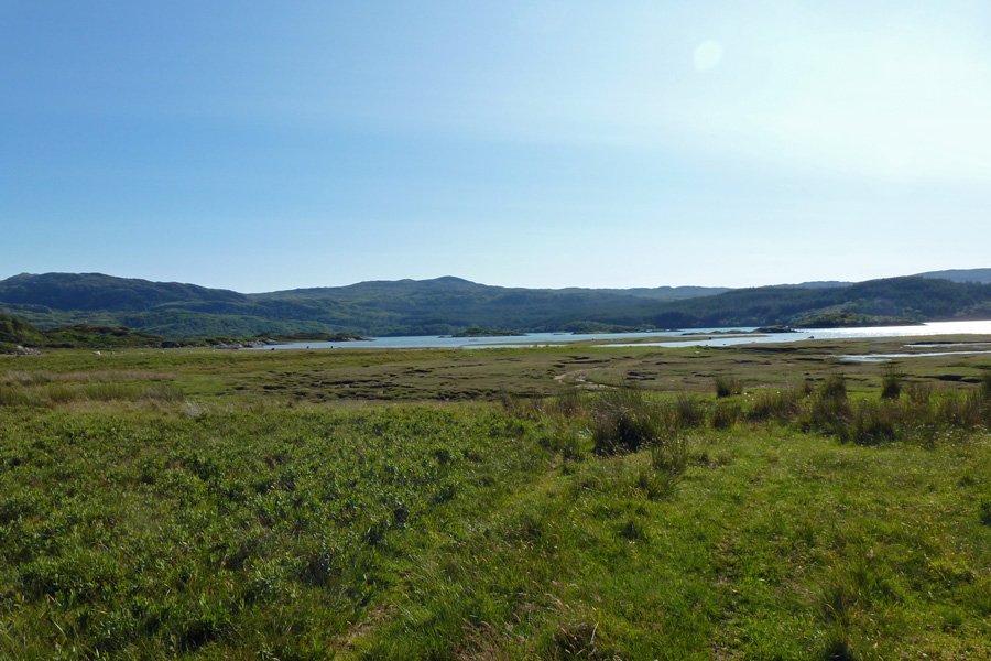There is an interesting area of salt marsh between Kentra Moss and the sea