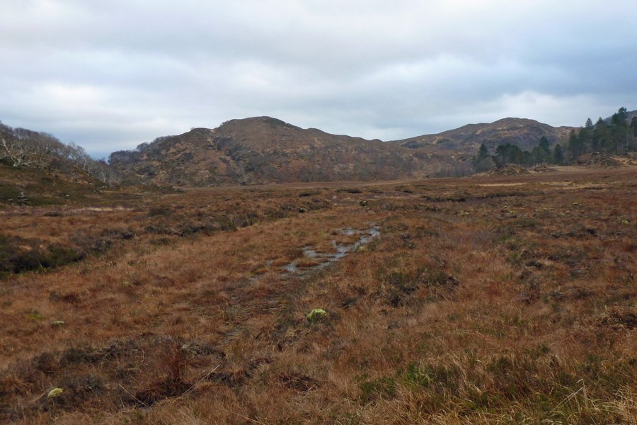 Kentra Moss looking twoards The Pines Medical practice