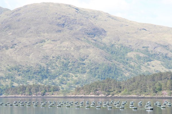 Passing by the mussel farm