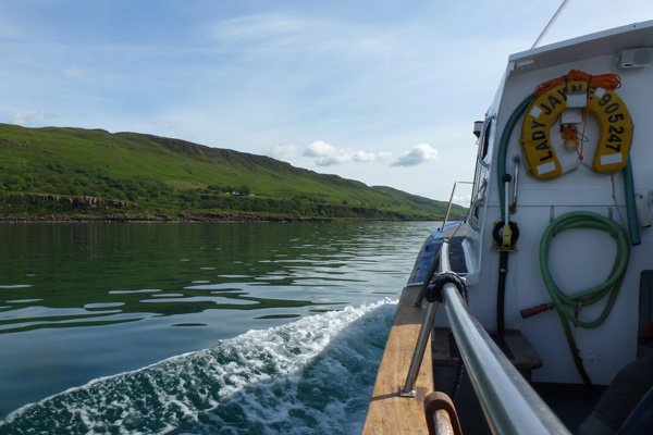 Cruising out to see the sea eagles