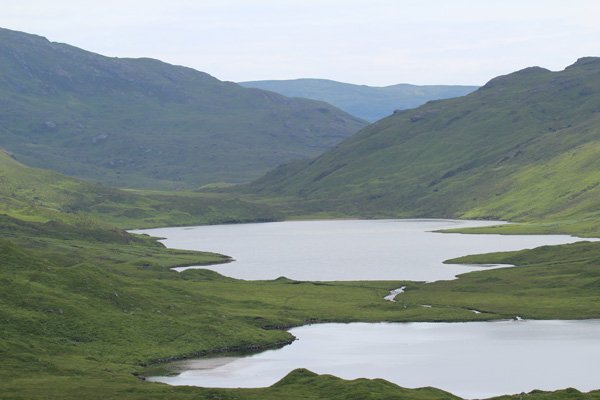 The three lochs on Glen More is a good spot to look out for Goldies
