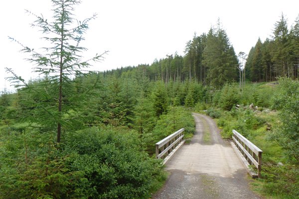 The track from the rendezvous point to the hides