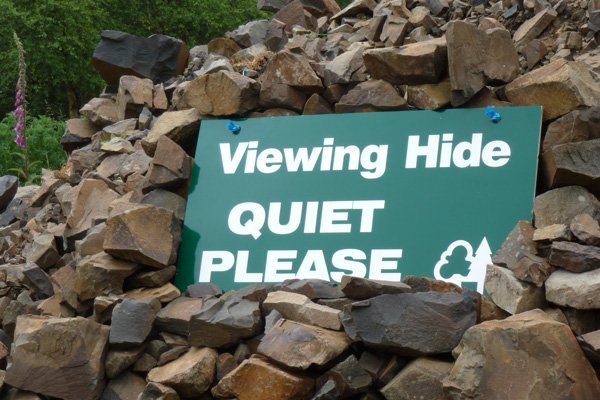 Be very quiet as you approach the viewing hide