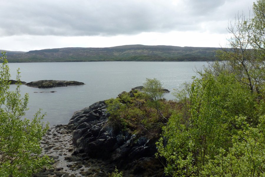 Looking for otters at low tide across from the car park