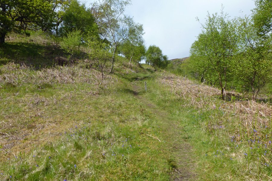 Look out for fritillaries on the open sections of the walk