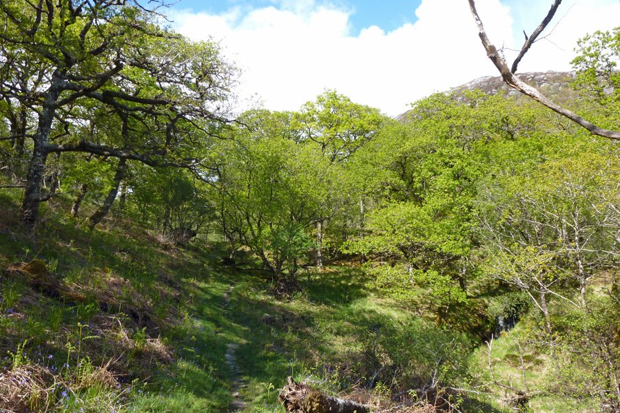 The track back down to the car park