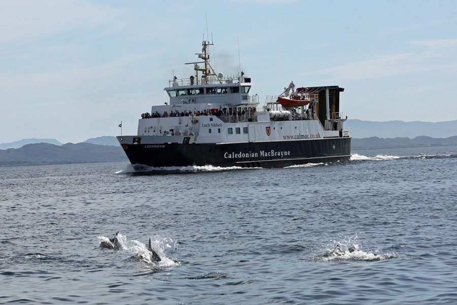 Dolphins approaching the port side of The Loch Nevis CalMac ferry