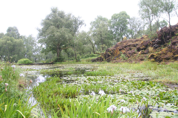 The ornate lake in Glenborrodale Castle Gardens
