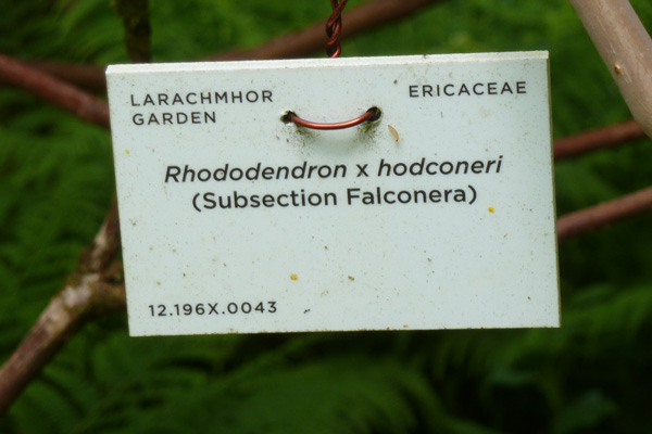 Many of the specimen plants are labelled