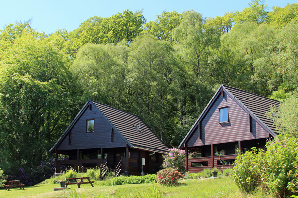 Mingarry Lodges, log cabins in the woods