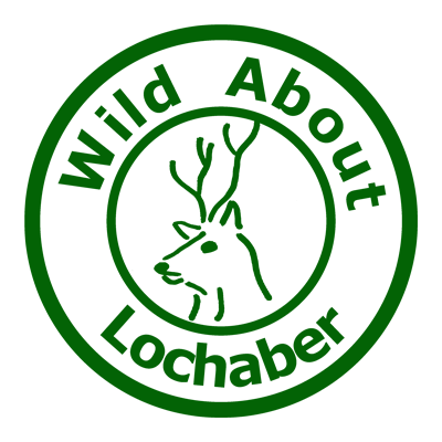 Wild About Lochaber - Our New Logo