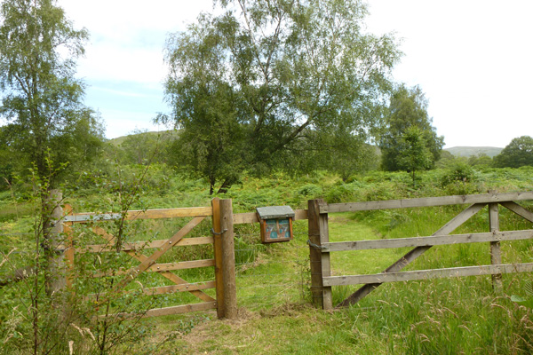 The start of the path round the butterfly reserve