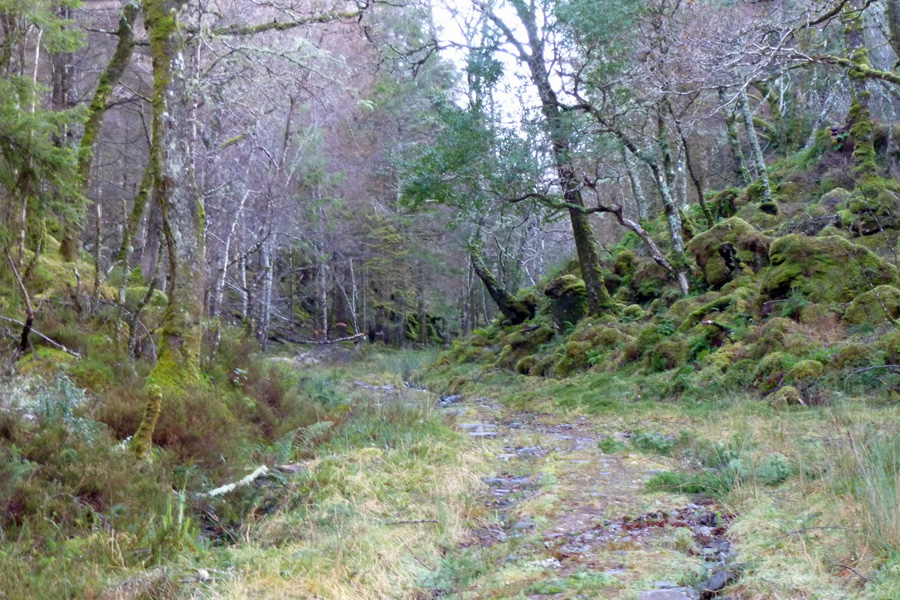 The track up to the small circular hill walk with fine views over Loch Sunart