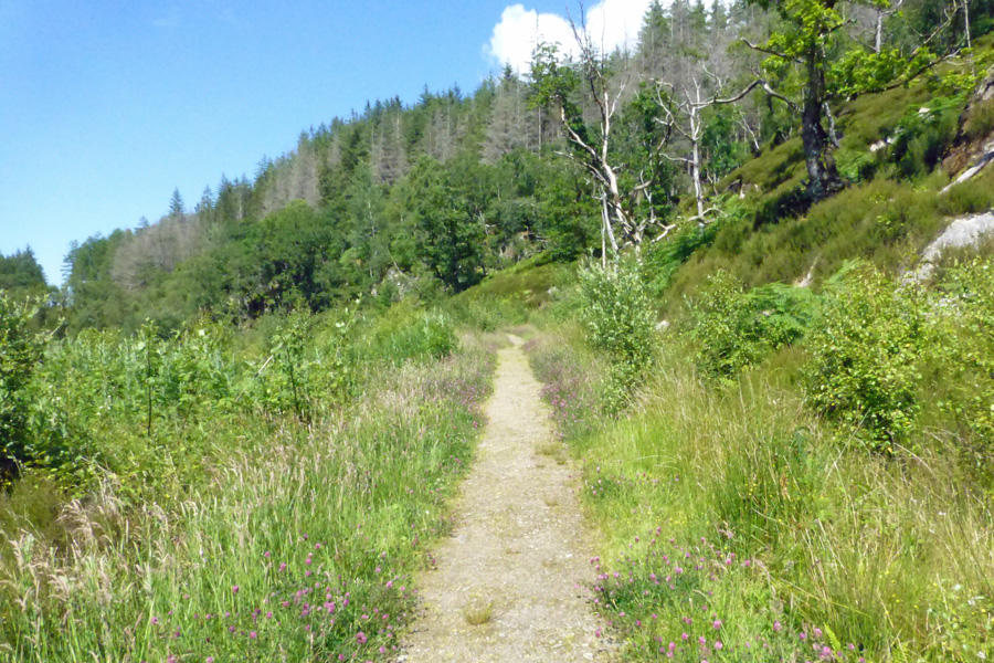 The path from the car park to Lochan na Dunaich
