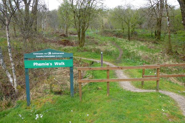 The walk goes through Phemie's walk
