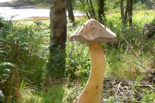 Wooden toadstools at The Bay of Flies