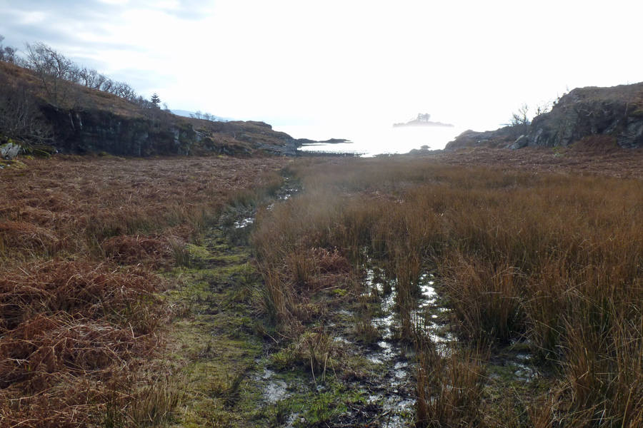 The boggy path to the old jetty