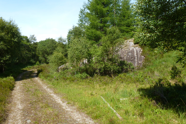 The start of the detour to Claish Moss off the main track
