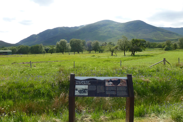 Interpretation board on black grouse and views across to the Fairy Knoll