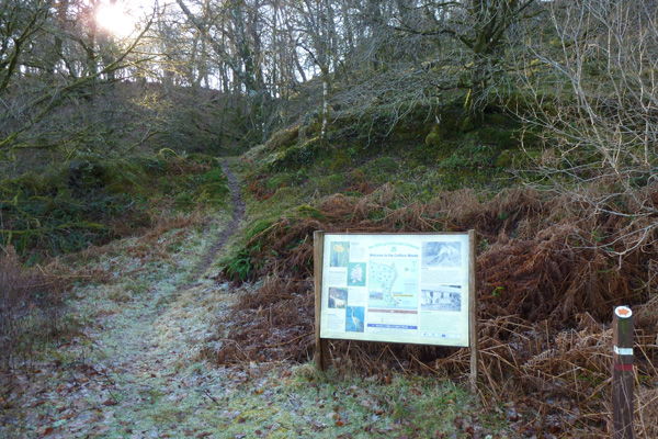 The start of The Crofters Woods Walk with interpretation board