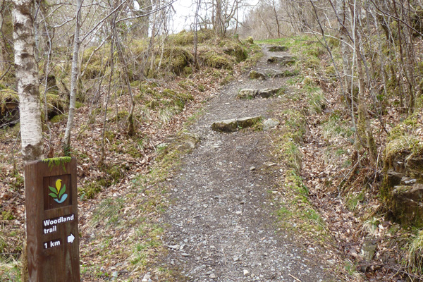 The woodland trail through Glasdrum Wood