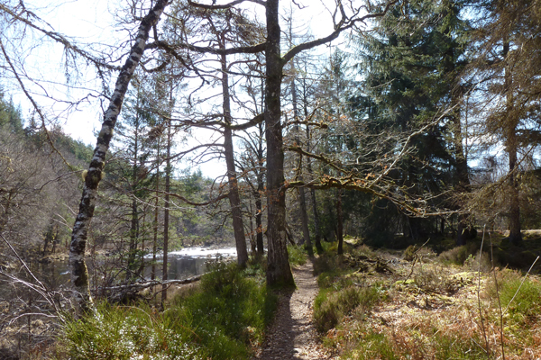 The path by the River Garry on the Alt na Cailliche Trail