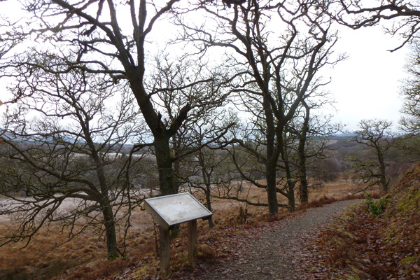 The path eventaullay joins up with the main road outside Spean Bridge
