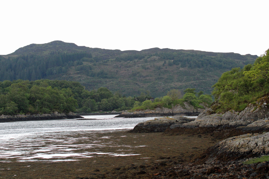 Loch Teacuis at low tide - look out for otters