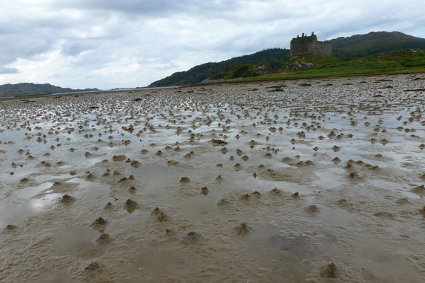 Castle Tioram at low tide