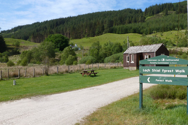 Forestry commission car park at Polloch