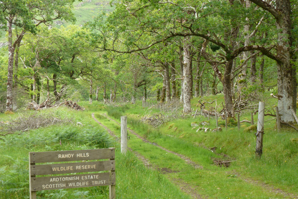 The start of the walk at the Scottish Wildlife Trust Rahoy Hills Reserve