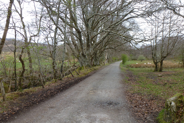 The path along the canal side at the start of the walk