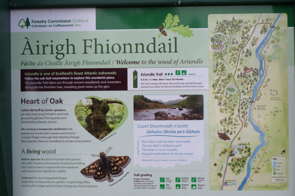 One of the interpretation boards in The Ariundle Oakwoods NNR