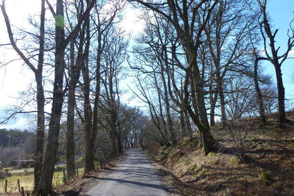 Lovely tree lined section of road (B8004)