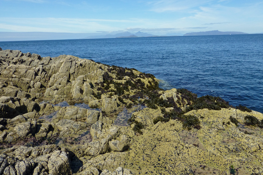 Explore the exposed rocky shoreline and rockpools below Ardnamurchan Lighthouse